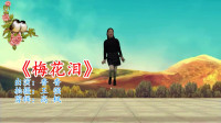 广场舞视频大全免费下载高清《梅花泪》初级
