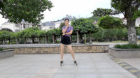 初学者广场舞视频教程《相遇花开》视频mp4