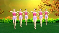 初学最简单的广场舞《桃花运》在家跳最简单
