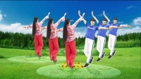 初学者广场舞视频教程《哥哥的亲圪蛋》视频