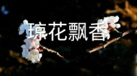 扬剧电视剧《琼花飘香又名三把刀》全剧高清
