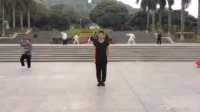 杨旭东《46式陈氏太极拳》视频mp4免费下载