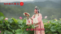 赣剧《姹紫嫣红》选段 朱莹莹演唱高清视频m