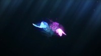 2020年最火广场舞dJ版《野花香》视频mp4免
