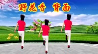 2020年最火广场舞dJ版《野花香》新潮时尚欢