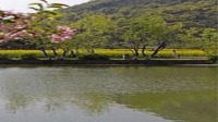 劲爆dj广场舞教学视频《扶我起来还能喝》舞