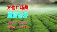 2020年最火广场舞dJ版《望爱却步》歌典好听