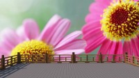 广场舞健身操视频大全《一晃就老了》初级入
