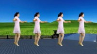简单易学的广场舞瘦腰减肥操《舞女泪》高清