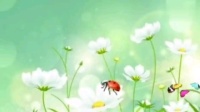 广场舞健身操视频大全《甜蜜爱情》原创附教