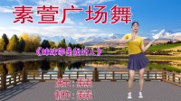 劲爆dj广场舞教学视频《妹妹你是我的人》美