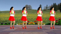 dj广场舞视频大全新舞《红尘醉红尘累》高清