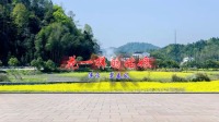 广场舞入门视频教学大全《花一样的姑娘》简