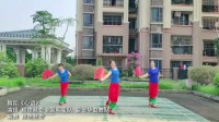 广场舞视频免费下载大全高清《心语》舞蹈好
