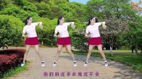 2020最新广场舞《你是我永远的痛》舞步新颖