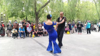 广场舞教学视频下载《鹅鹅鹅》舞姿欢快活泼