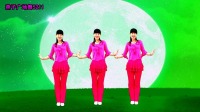 广场舞教学视频《对着月亮说声我爱你》高清