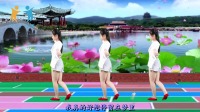广场舞视频免费下载大全高清《好想停留在梦