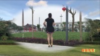 dj广场舞教学视频《全民迪斯科》跟着节奏一