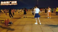 广场舞视频大全下载mp4《言不由衷》快速减