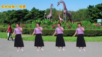 广场舞视频免费下载大全高清《莫名我就喜欢