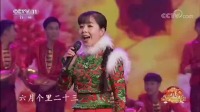 二人台下载到内存卡上《五哥放羊》王二妮演唱 唱腔婉转好听精彩不容错过下载