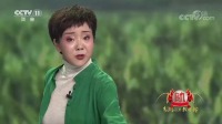 二人台现代戏《山那边》经典选段视频mp4免费下载  武燕妮演唱不愧是名家下载