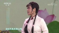 十大好听黄梅戏《啼笑因缘》经典选段 张伟 