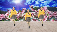 广场舞视频大全免费下载《拉萨夜雨》藏歌天