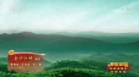 评剧下载视频下载《金沙江畔》经典选段 于海泉 杜建演唱 精彩不容错过下载