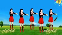 dj广场舞视频大全2020《痴情相思泪》歌词句