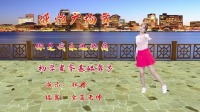 广场舞视频大全免费下载《你是我永远的痛》
