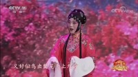 评剧mp4视频下载《杜十娘》经典选段 王冠丽滕建东演唱 精彩不容错过下载