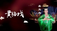 黄梅戏视频下载免费《相思泪》选段 望郎归 