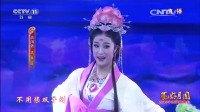 黄梅戏视频下载免费《采莲》经典选段 吴美