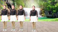 广场舞教学视频大全分解慢动作《你是我红尘