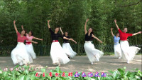 广场舞减肥舞瘦肚子入门视频《北京的金山上
