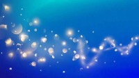 dj版广场舞视频大全《风雨醉情缘》舞优美时