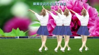 2020年最火的广场舞《红尘情歌》时尚DJ广场