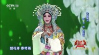 京剧下载免费mp4高清《大唐贵妃》选段 张也