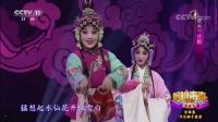 河北梆子下载免费mp4《卖水》选段 采朵花儿