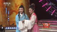 黄梅戏视频下载免费《天仙配》选段 冯晓泉 