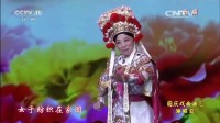 豫剧下载免费mp4下载《花木兰》经典选段 小香玉演唱 韵味十足百听不厌下载