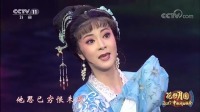 越剧名段欣赏《西厢记》经典选段 王静演唱一字一句唱的真好听下载