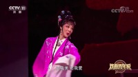 越剧名家名段大全视频《风雪渔樵记》选段 浙江小百花袁派花旦王静演唱下载