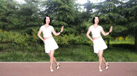 最笨人学广场舞慢动作《美丽的大草原》动感