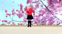 零基础广场舞舞步入门《唱着情歌流着泪》简