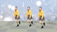 dj广场舞2019最流行的《多年以后》初学广场