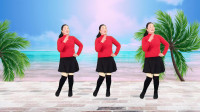最新最流行广场舞2020年《酒醉的蝴蝶》歌声