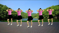 广场舞视频大全新舞dj《你的万水千山》64步